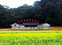 古田会议召开的历史背景分析