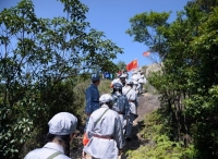 漳浦“红军林”重焕光辉与生机