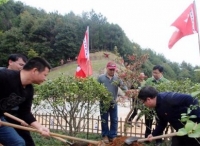 闽西老区龙岩文旅员工开展“松毛岭上同植杜鹃花颂军魂”党建植树活动