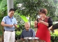 台州市天台县：粽叶飘香里的“红色”故事
