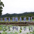 莆田罗屿港